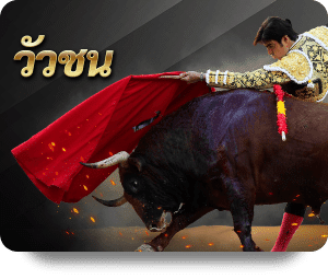 วัวชน