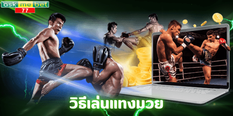 วิธีเล่นแทงมวย