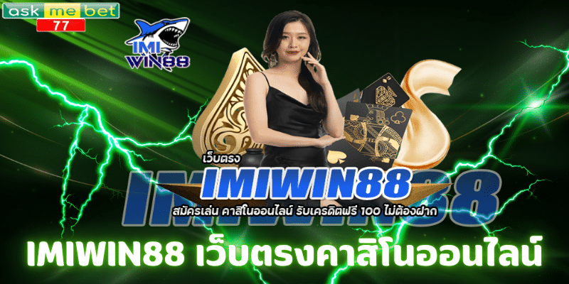 IMIWIN88